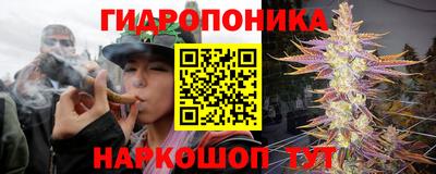 твердый Кунгур