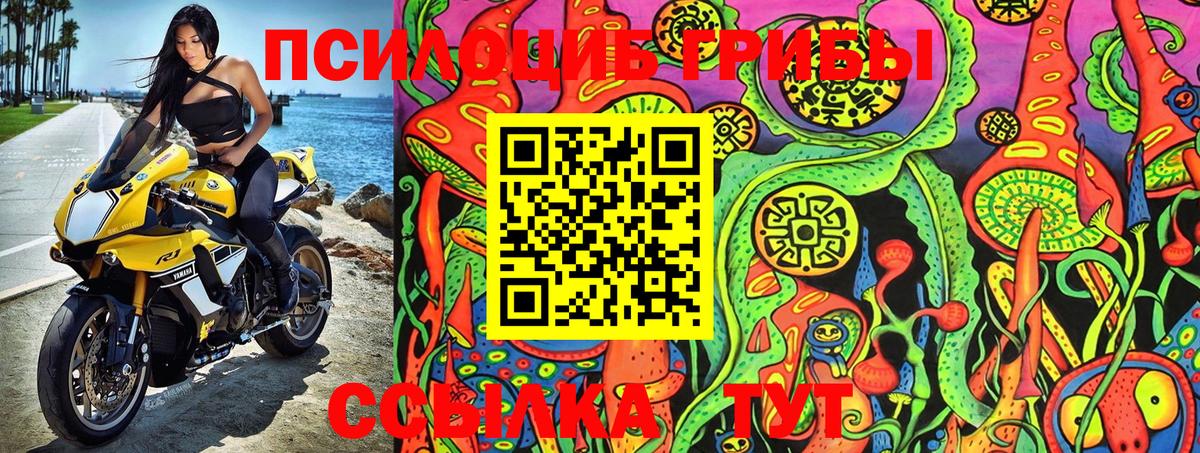 Галлюциногенные грибы Magic Shrooms Волжск