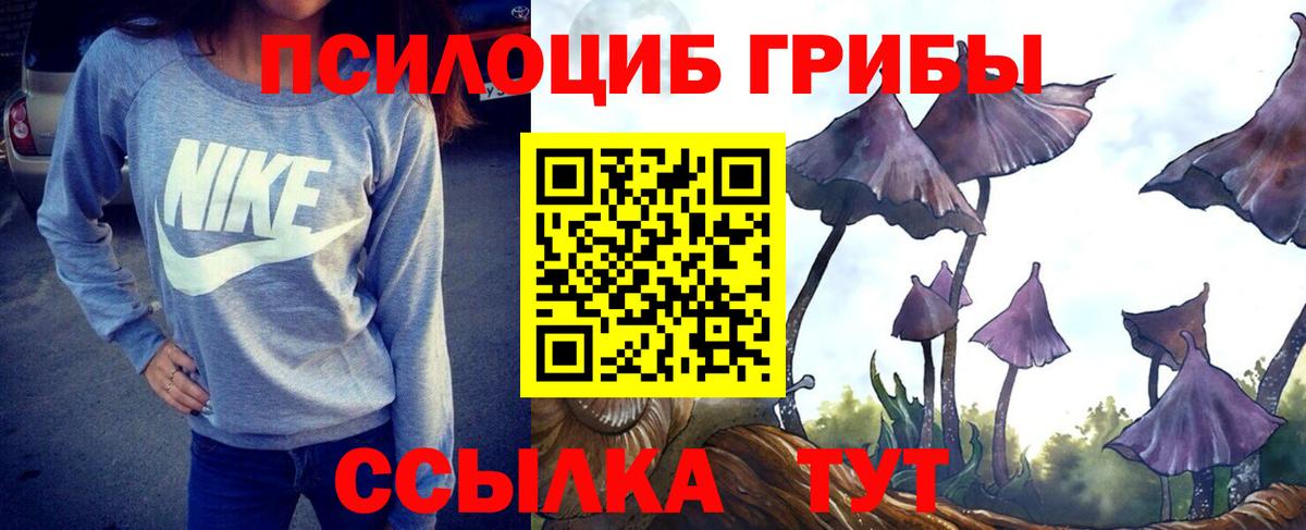 Галлюциногенные грибы GOLDEN TEACHER  Вход с VPN  где купить наркоту  Волжск 